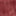 Red Safran / Dark Grey